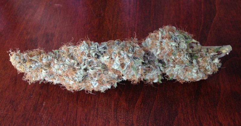 Original amnesia