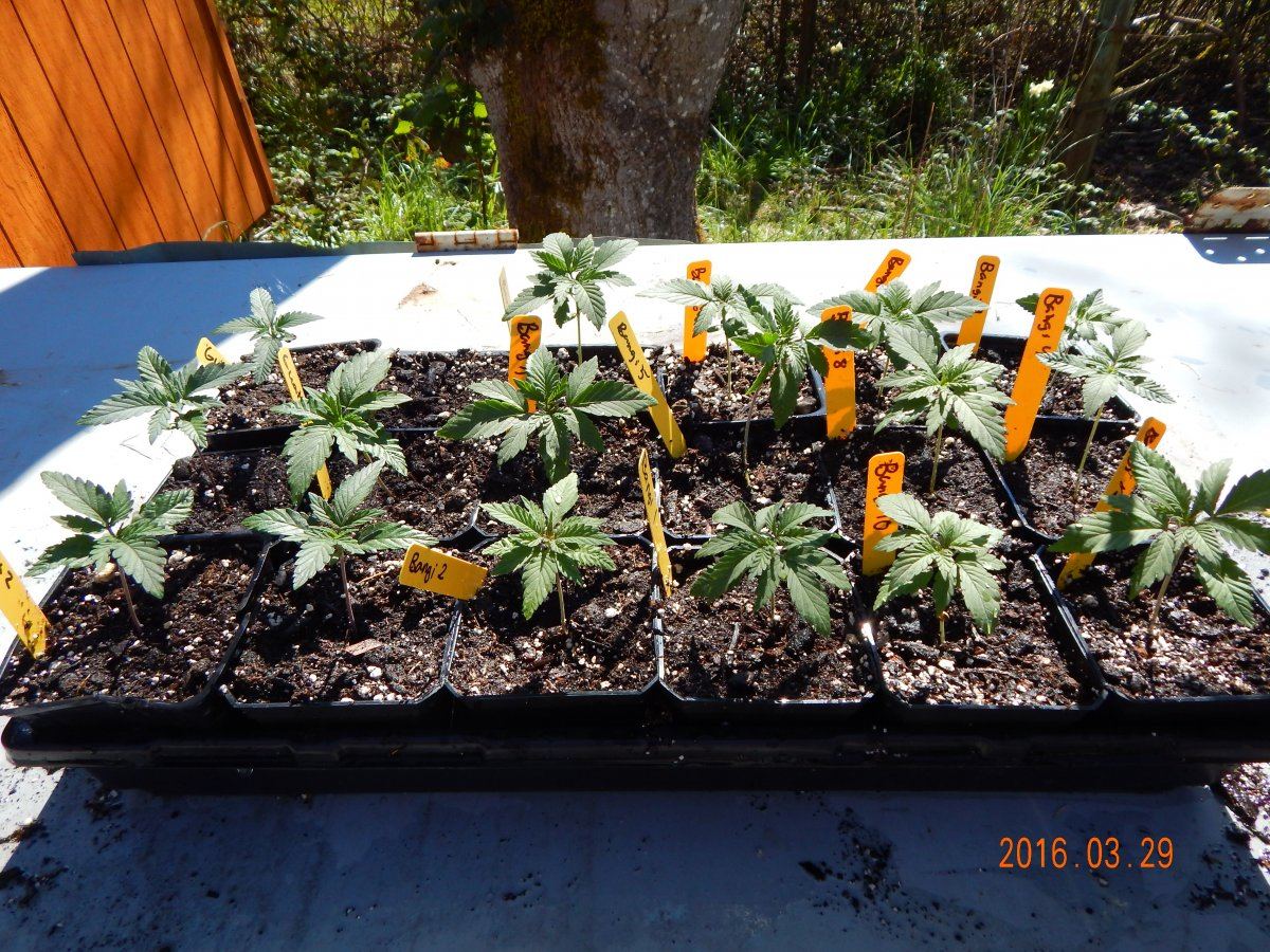 Outdoor 004