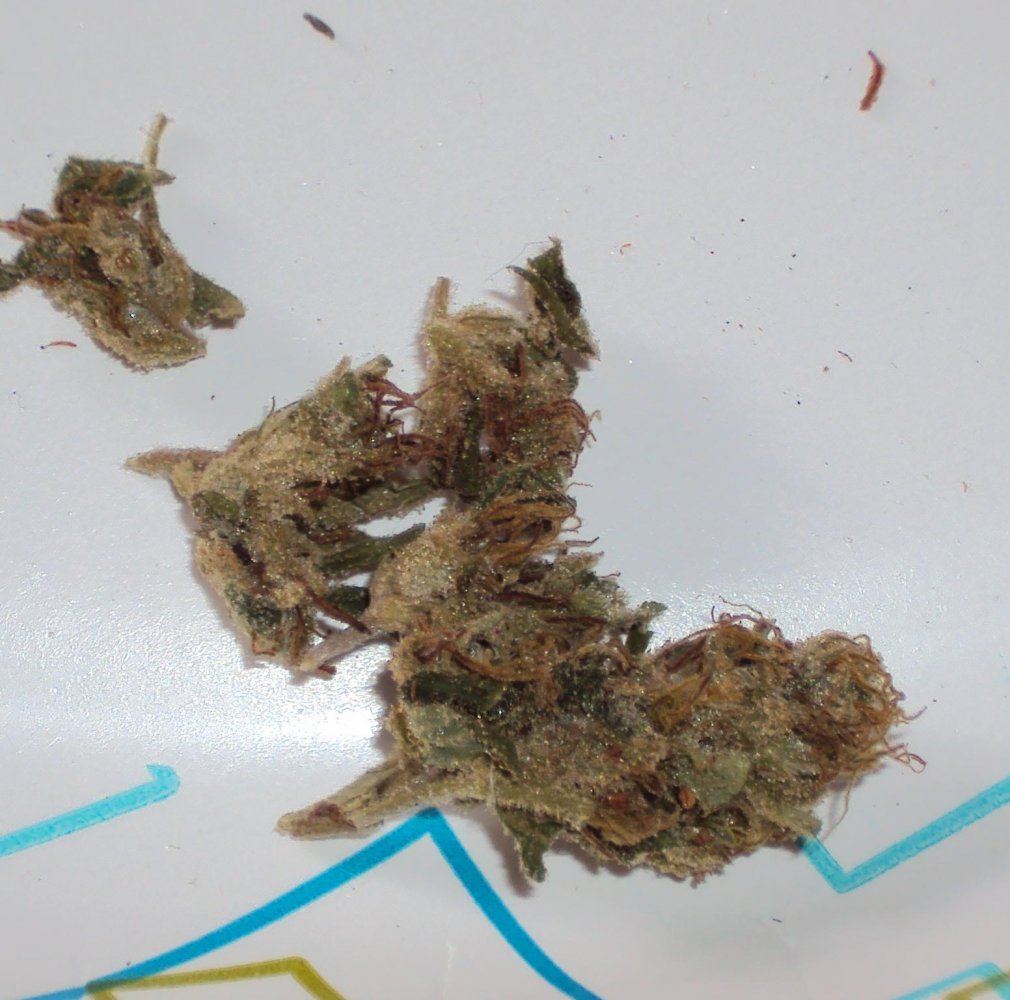 Outdoor dried budshots 3