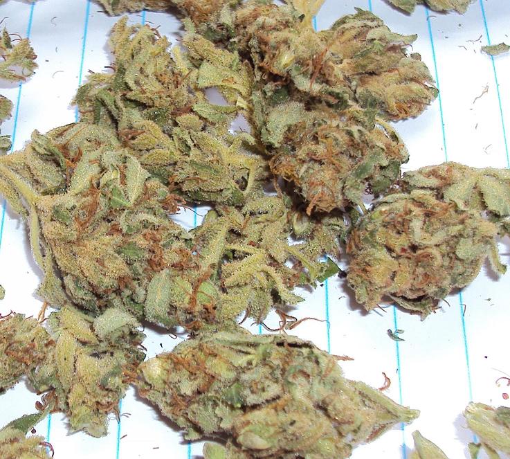 Outdoor dried budshots 6