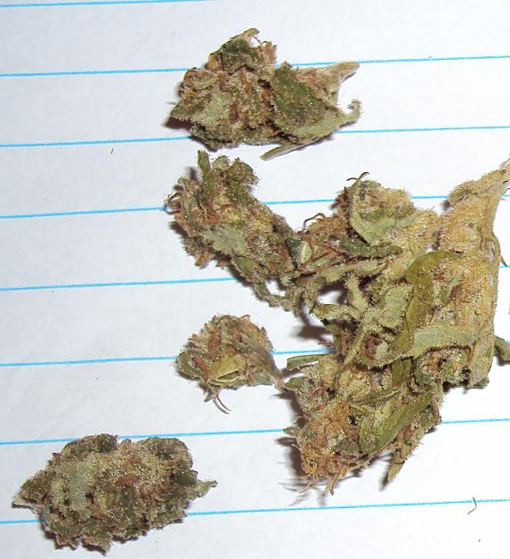 Outdoor dried budshots 8
