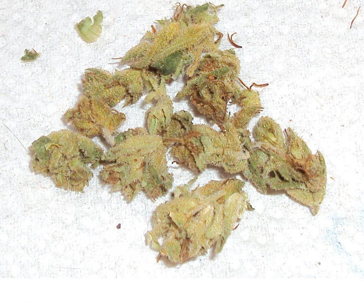 Outdoor dried budshots