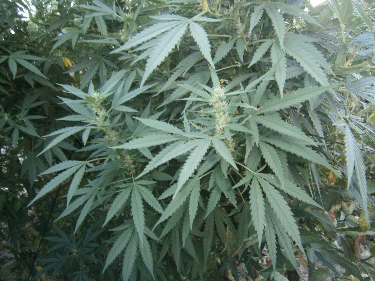 Outdoor from bulgaria 5