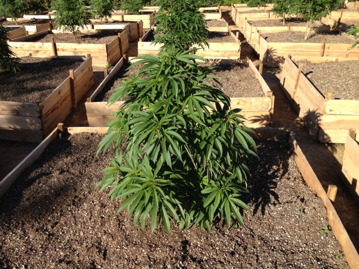 Outdoor medical 3