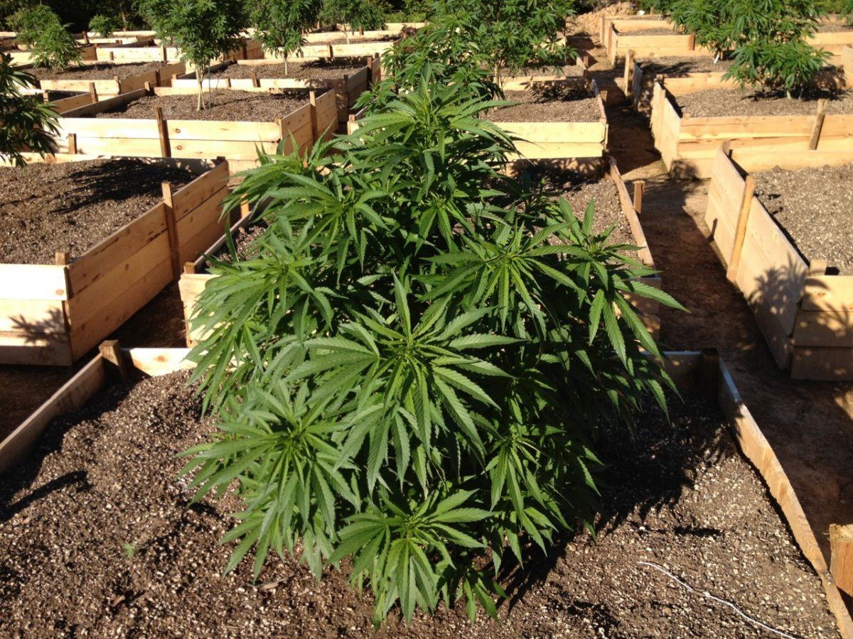 Outdoor medical 4