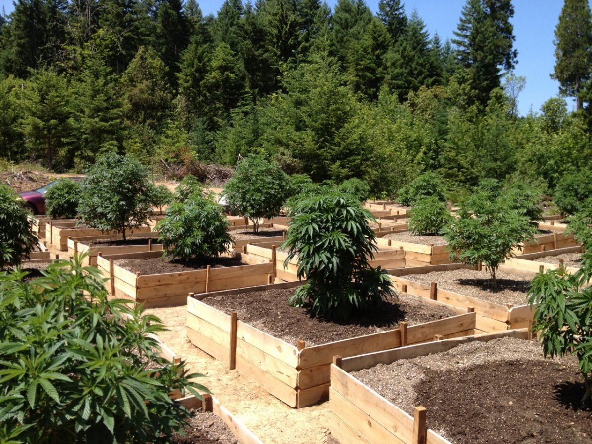 Outdoor medical 9