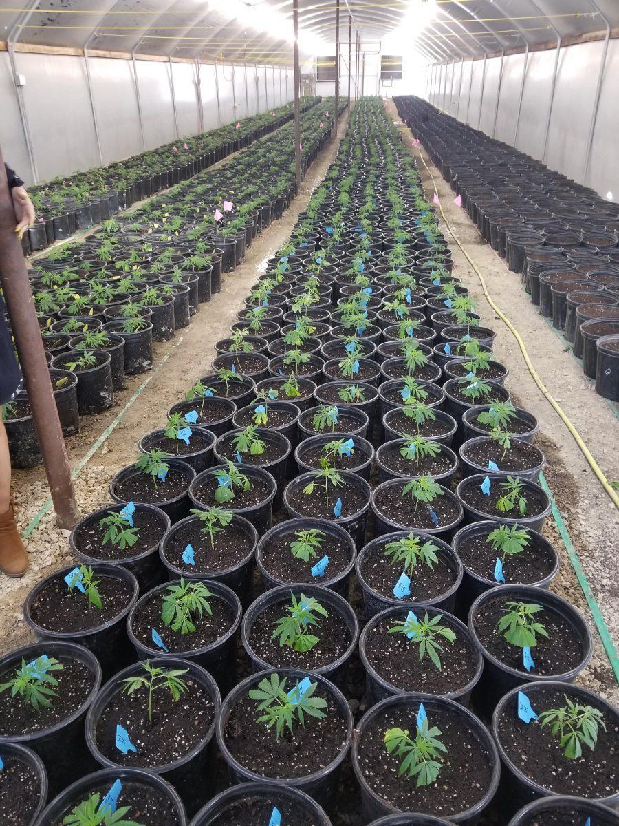 Outdoor Nursery