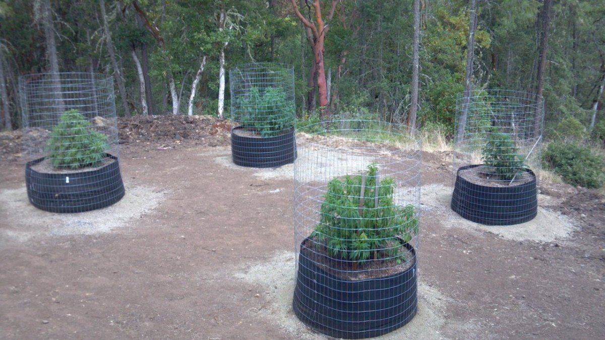 Outdoor organic medical southern or 200gal and 65 gal 4