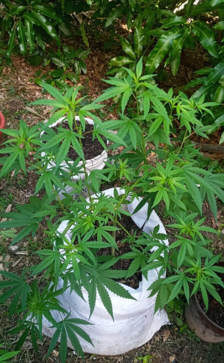 Outdoor skywalker how does she look 2