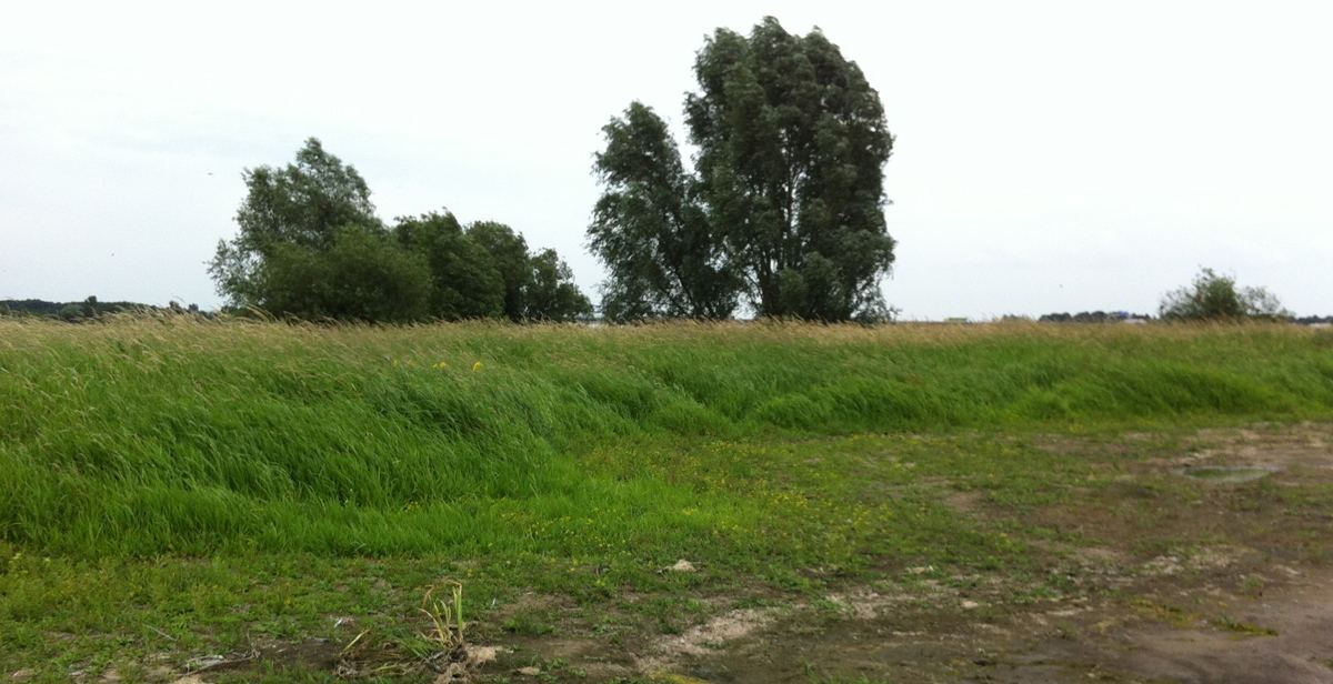 Outdoor1