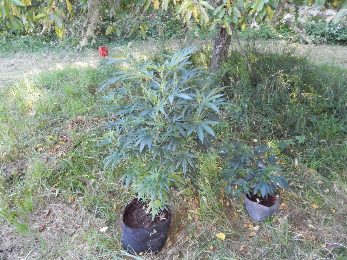 Outdoor2 002