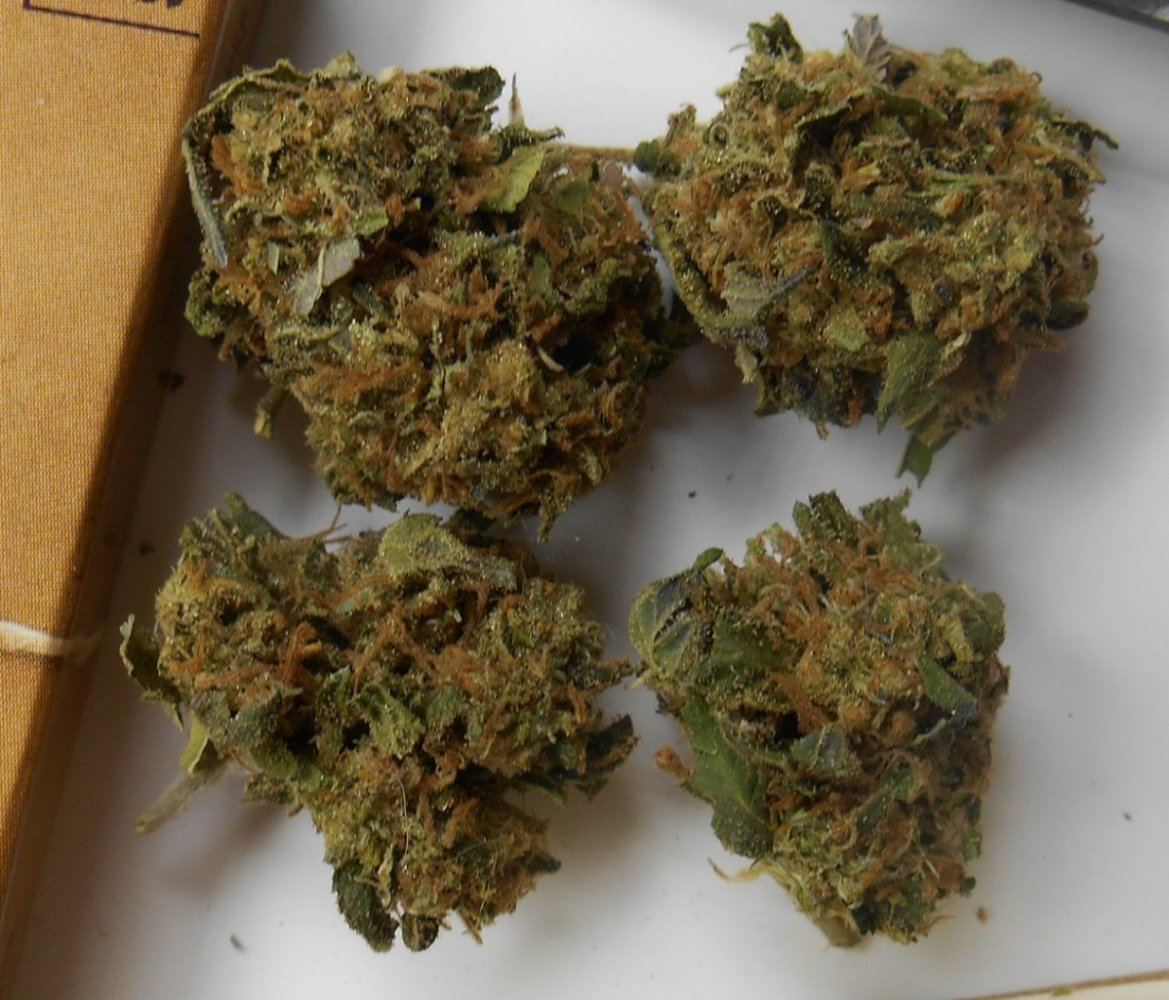 Outdoorcookies