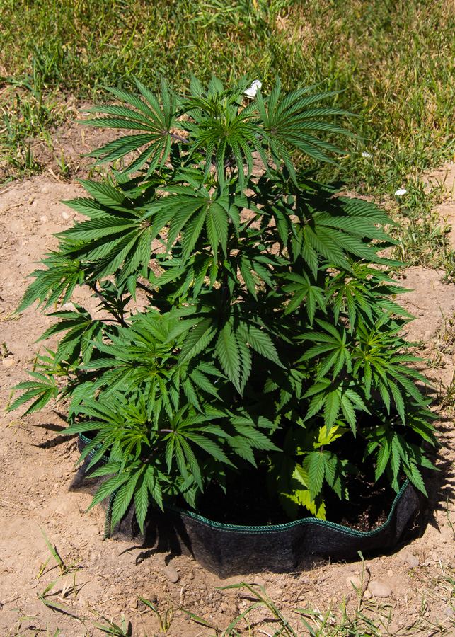 Outdoorwebst2