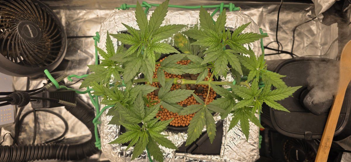 Overhead pre topping 