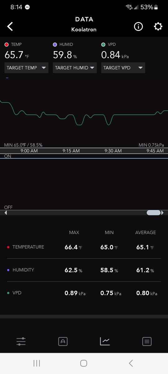 P1 9am