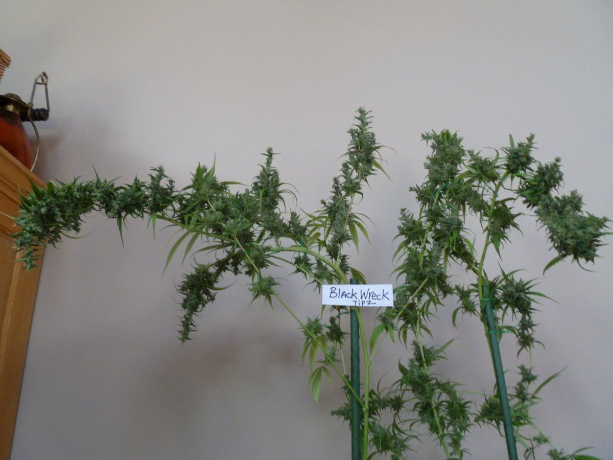 P1000627