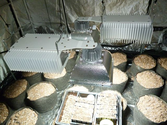 P1000950