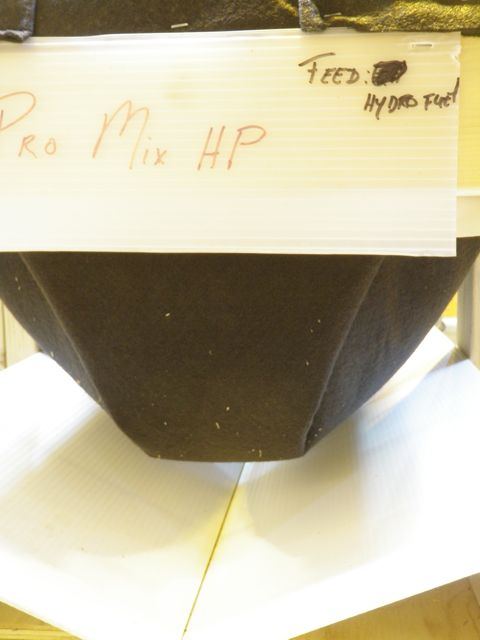 P1010005