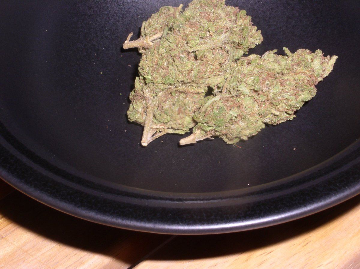 P1010012