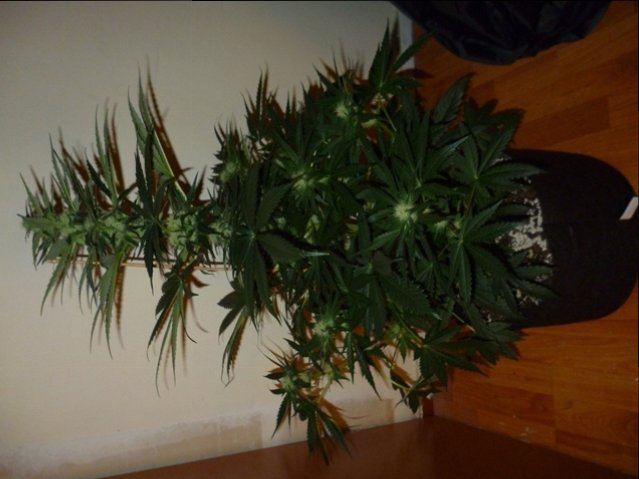 P1010234