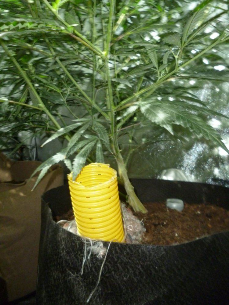 P1010997