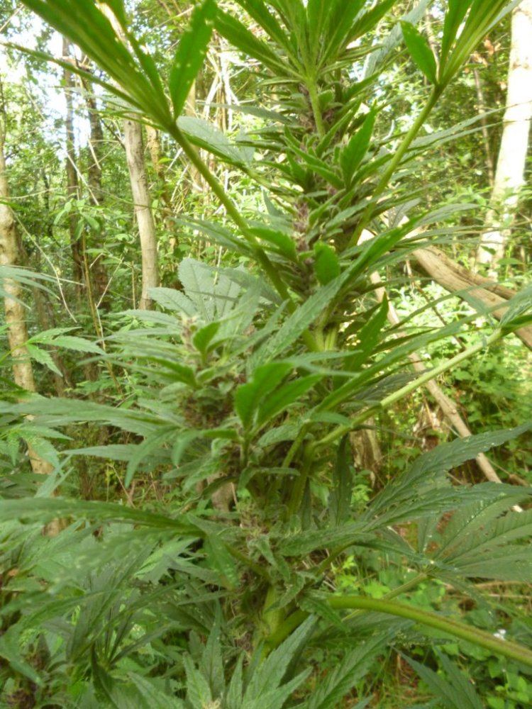 P1020027