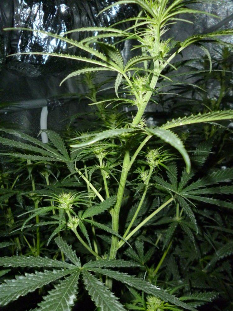 P1020046