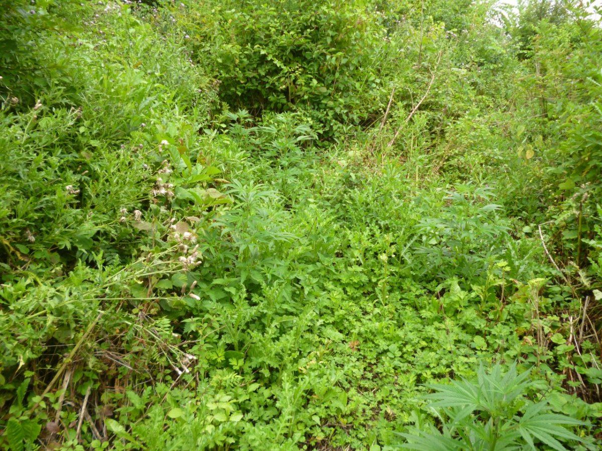 P1020078