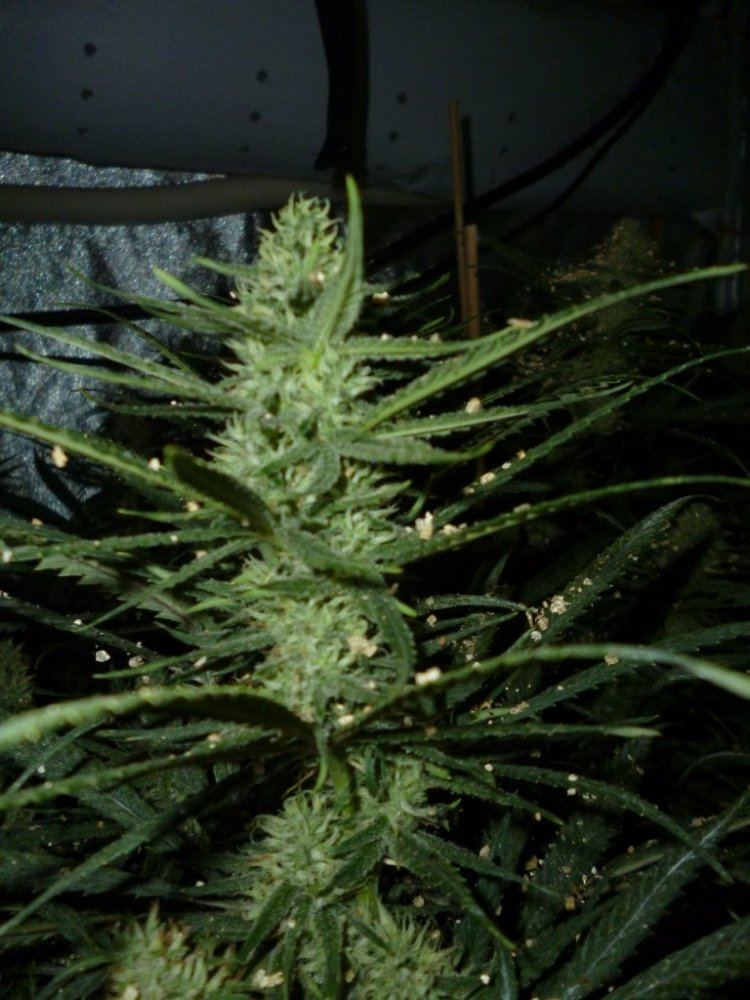 P1020122