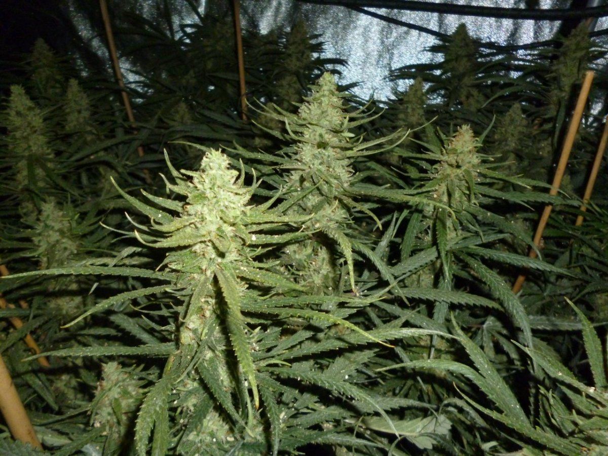 P1020171