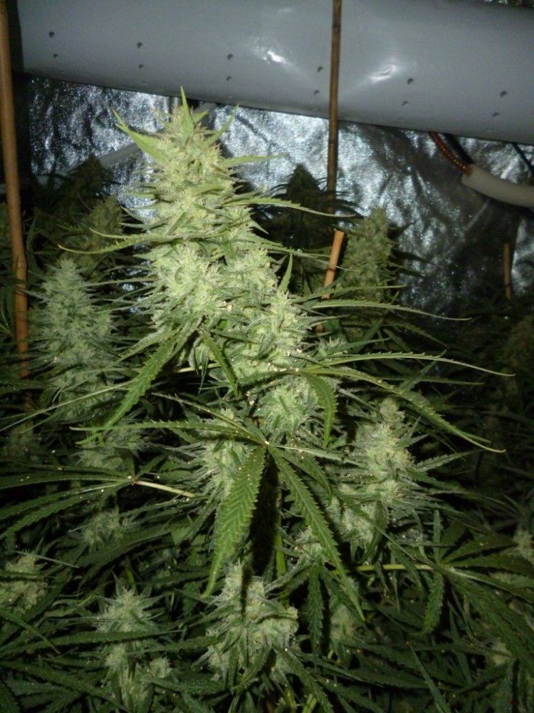 P1020200