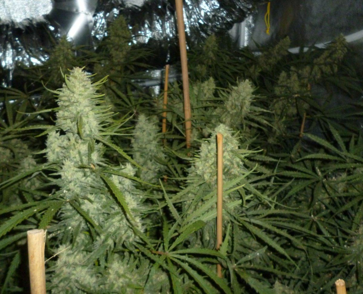 P1020230