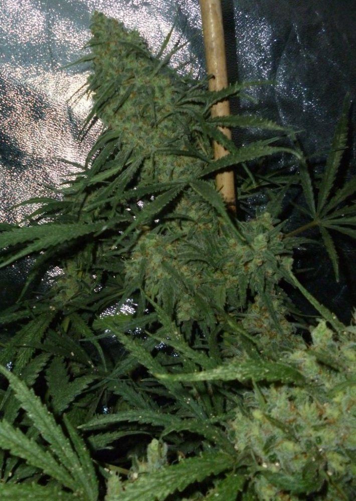 P1020258