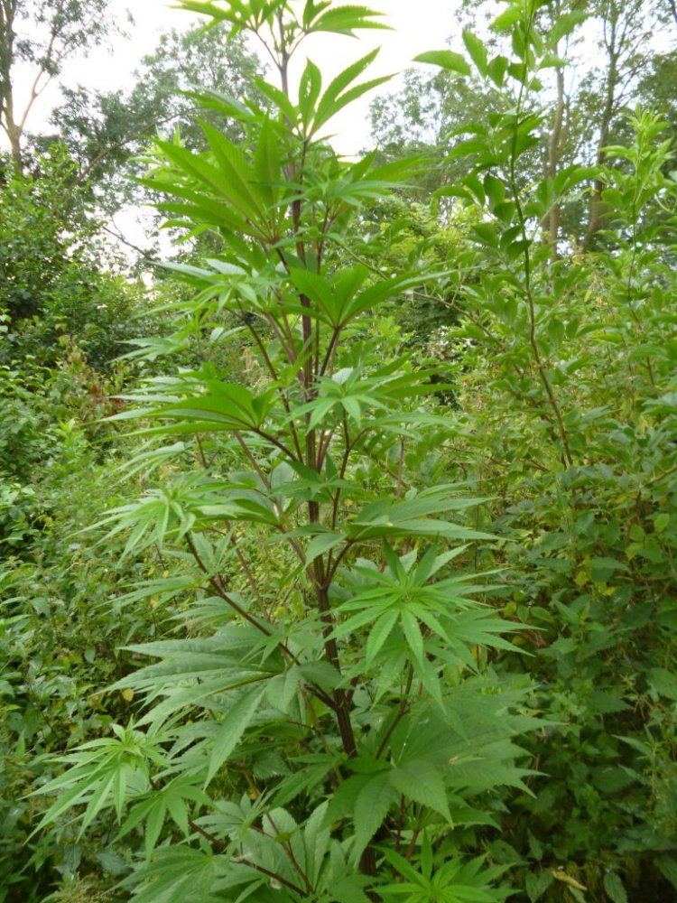 P1020293