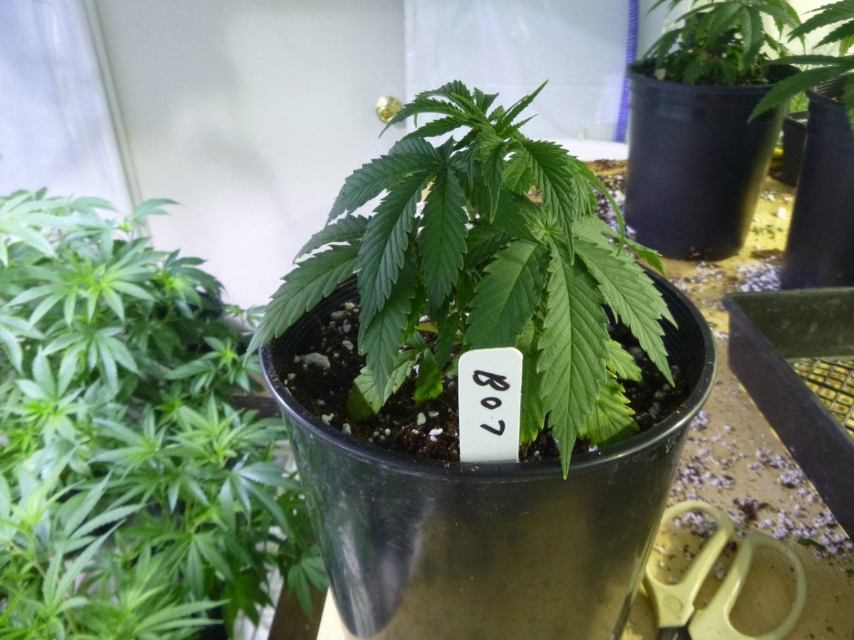P1020376