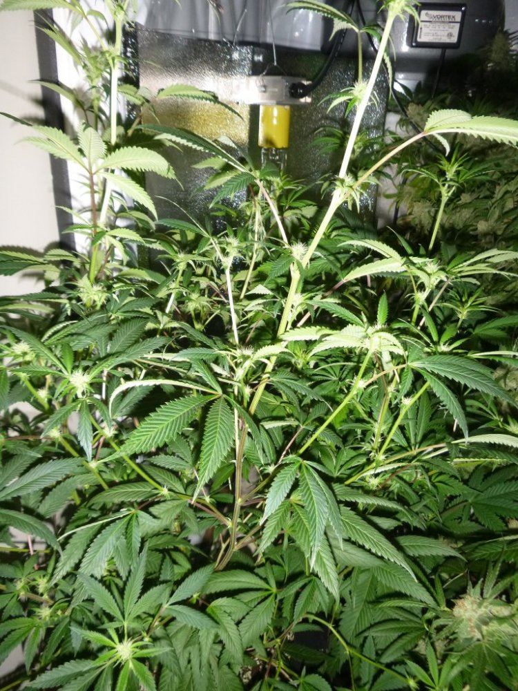 P1020379