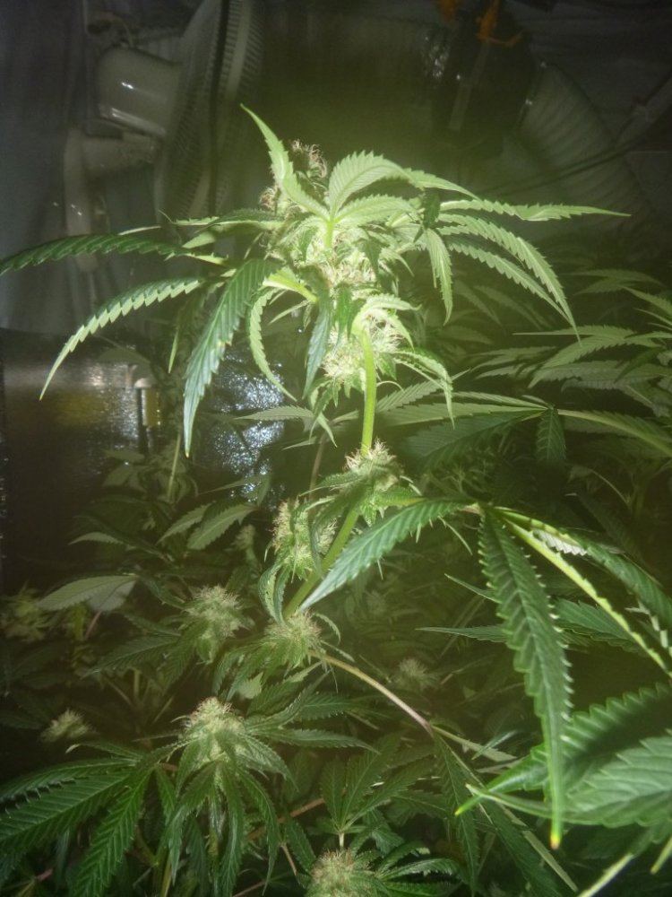 P1020391