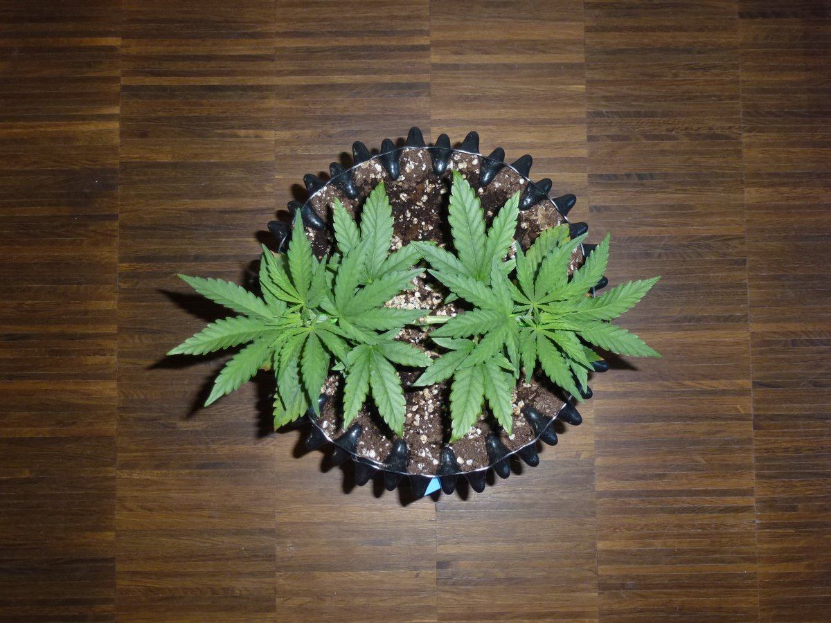 P1020423