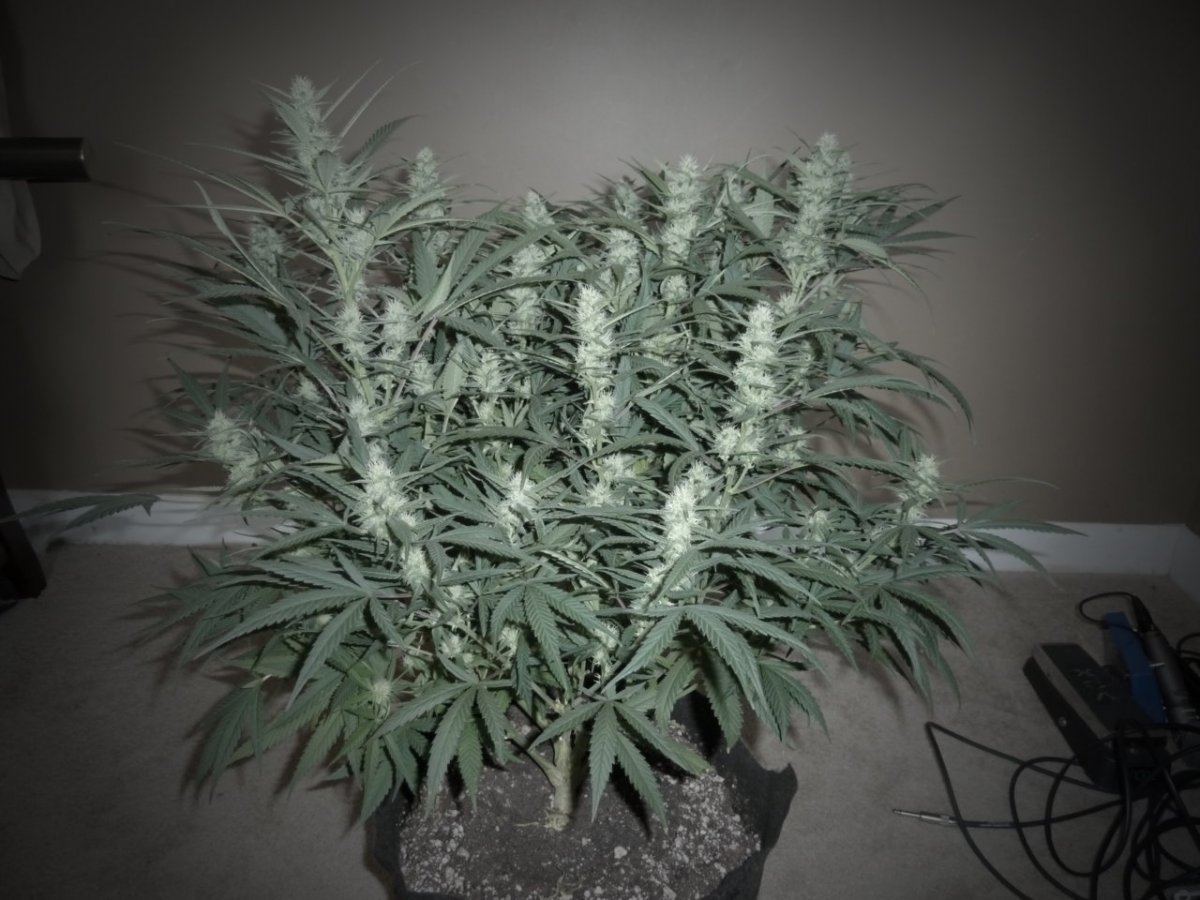 P1020502
