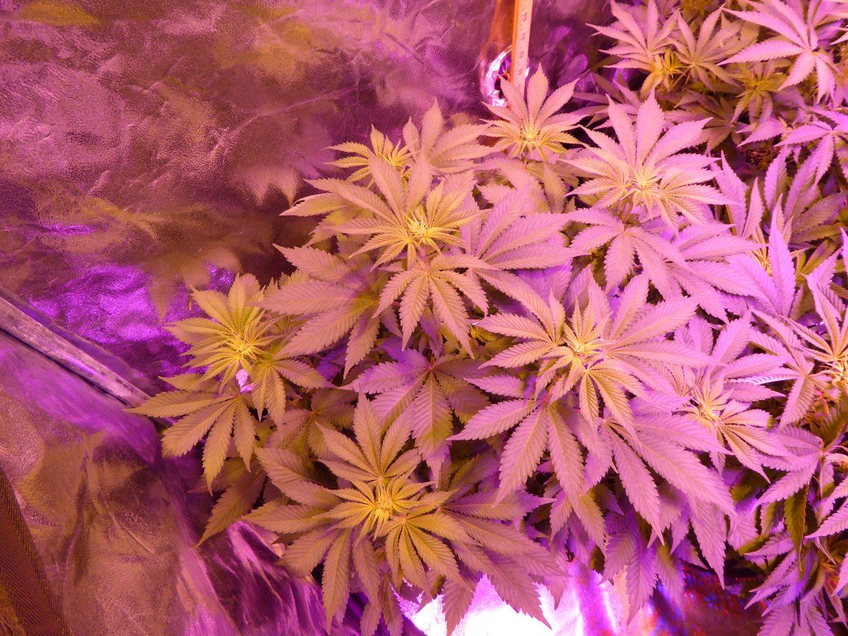 P1030143
