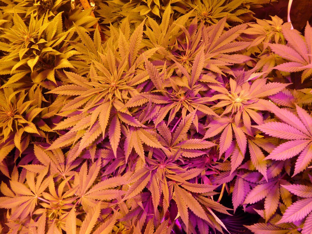 P1030161