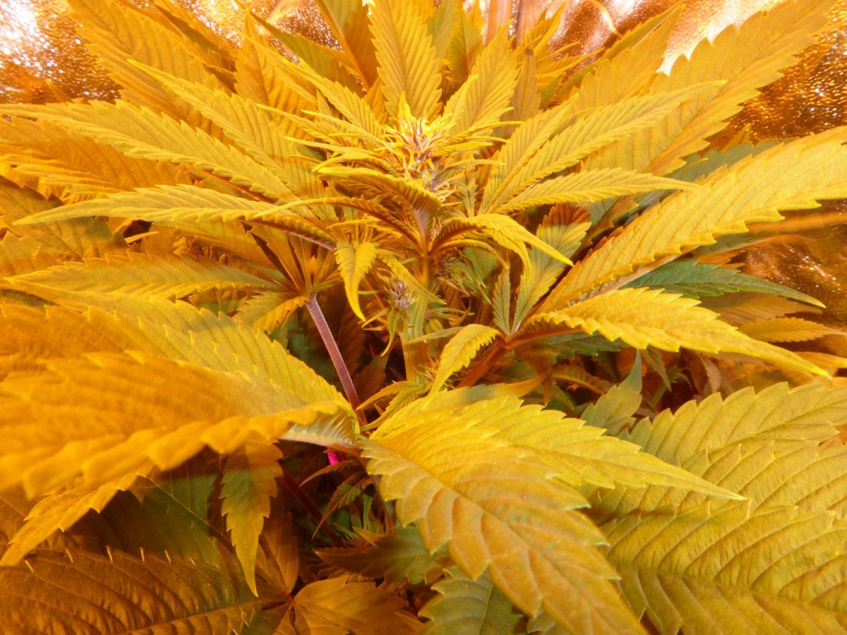 P1030165