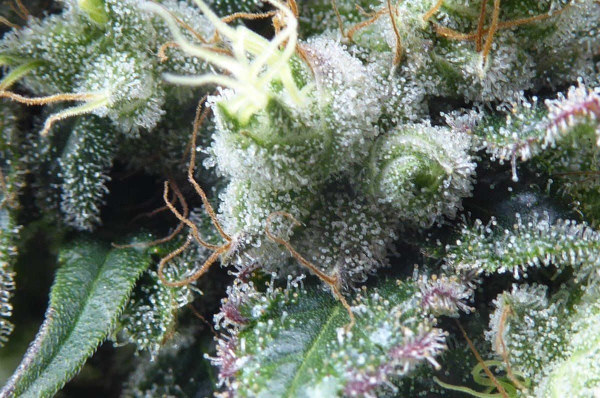 P1050004
