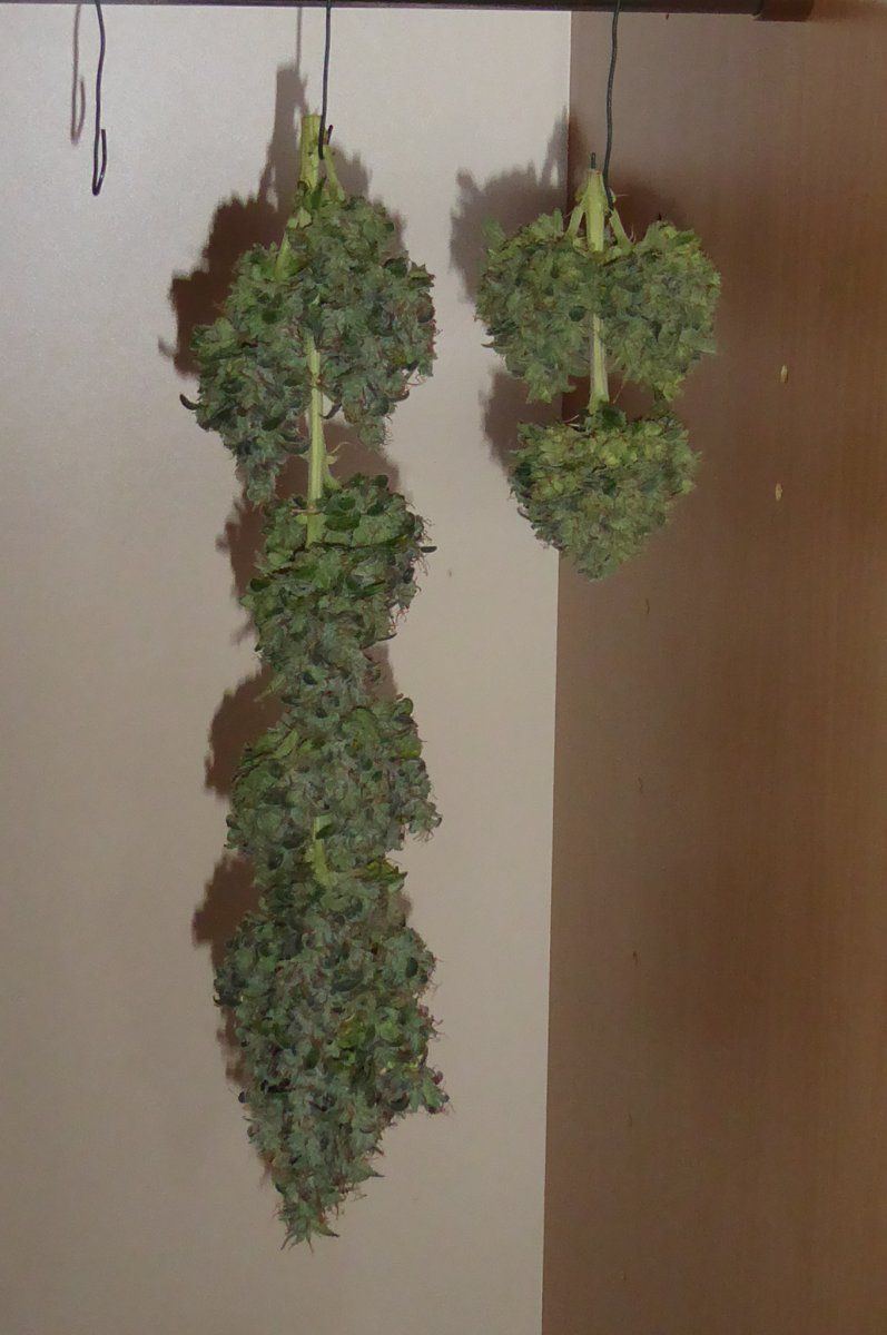 P1050123