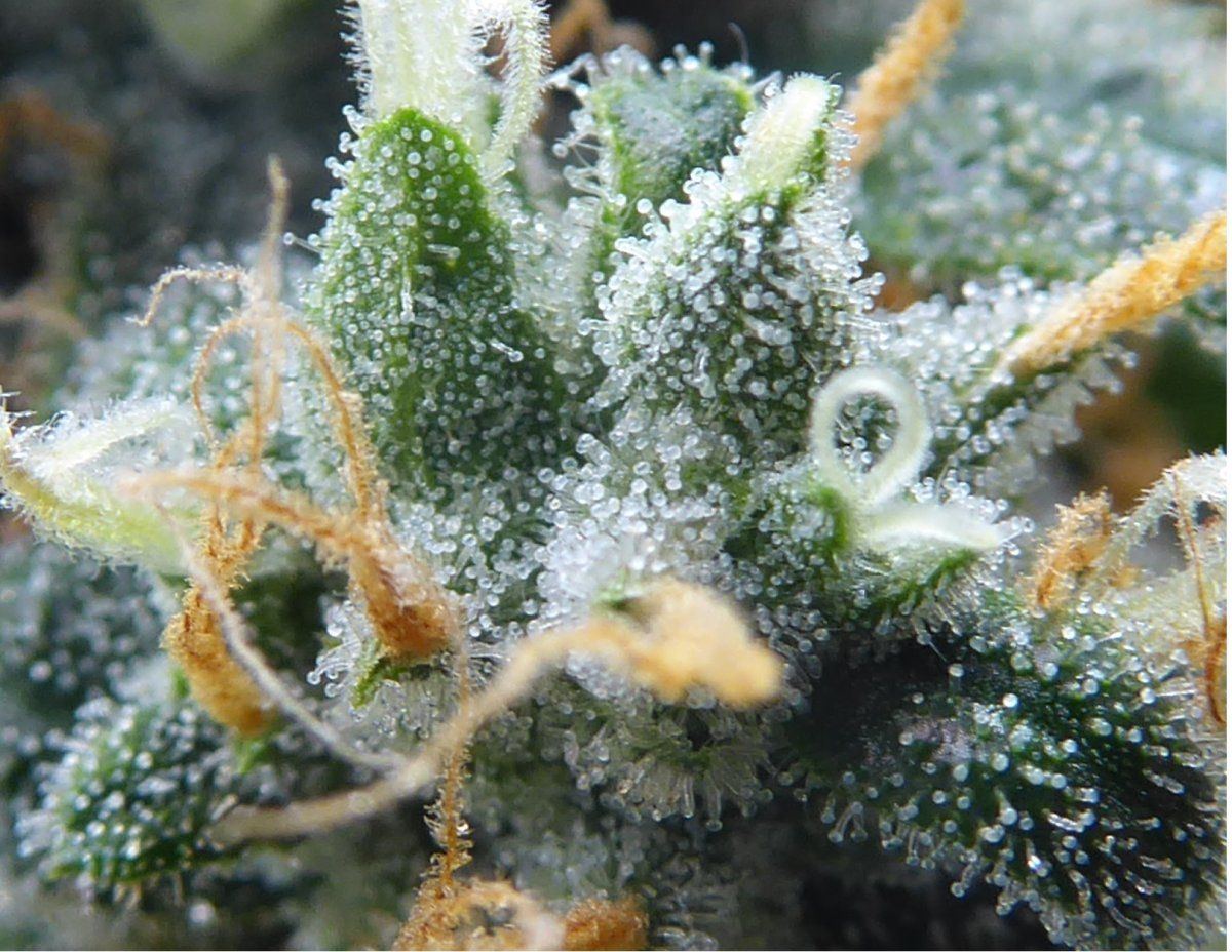 P1050382