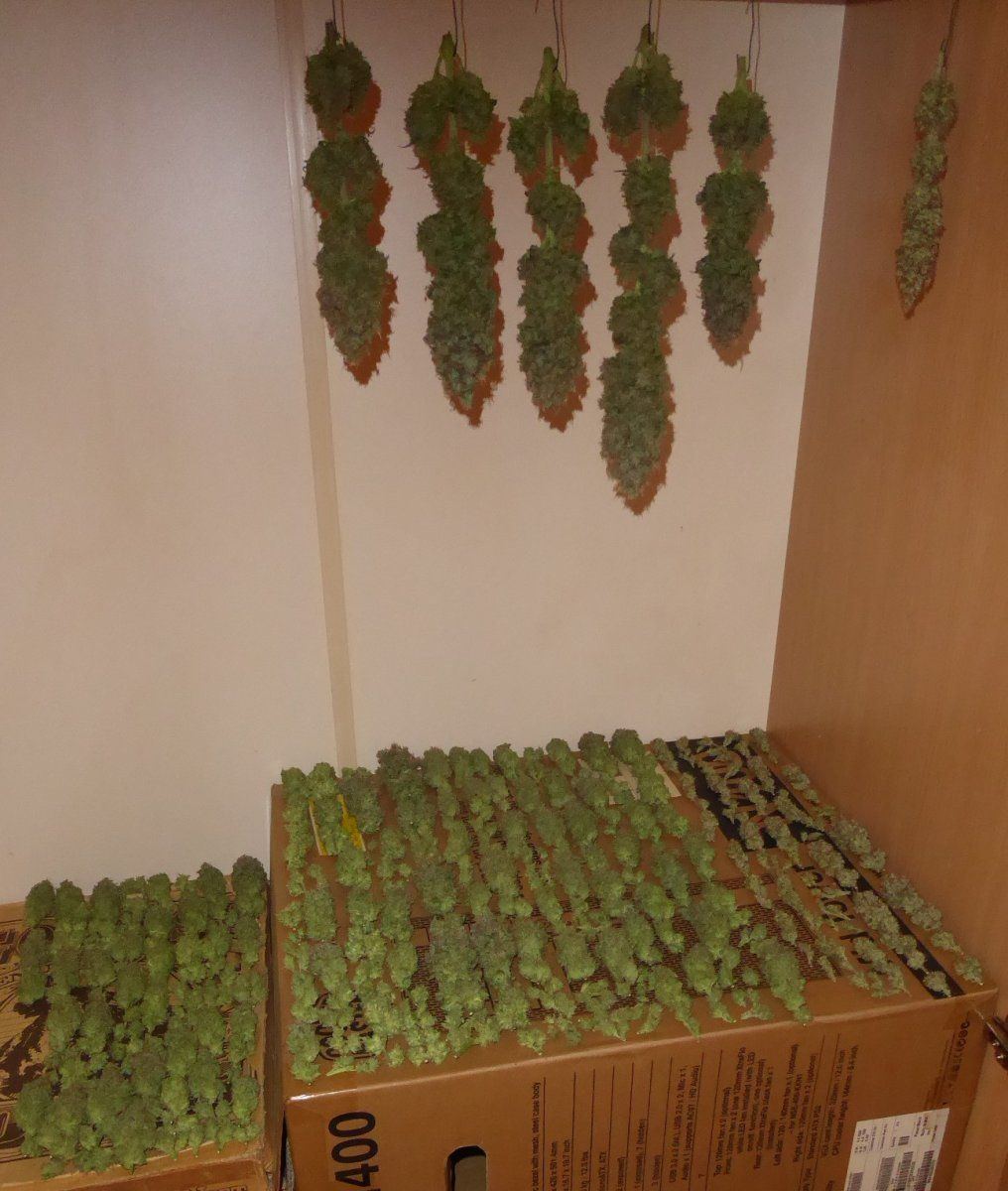 P1050801