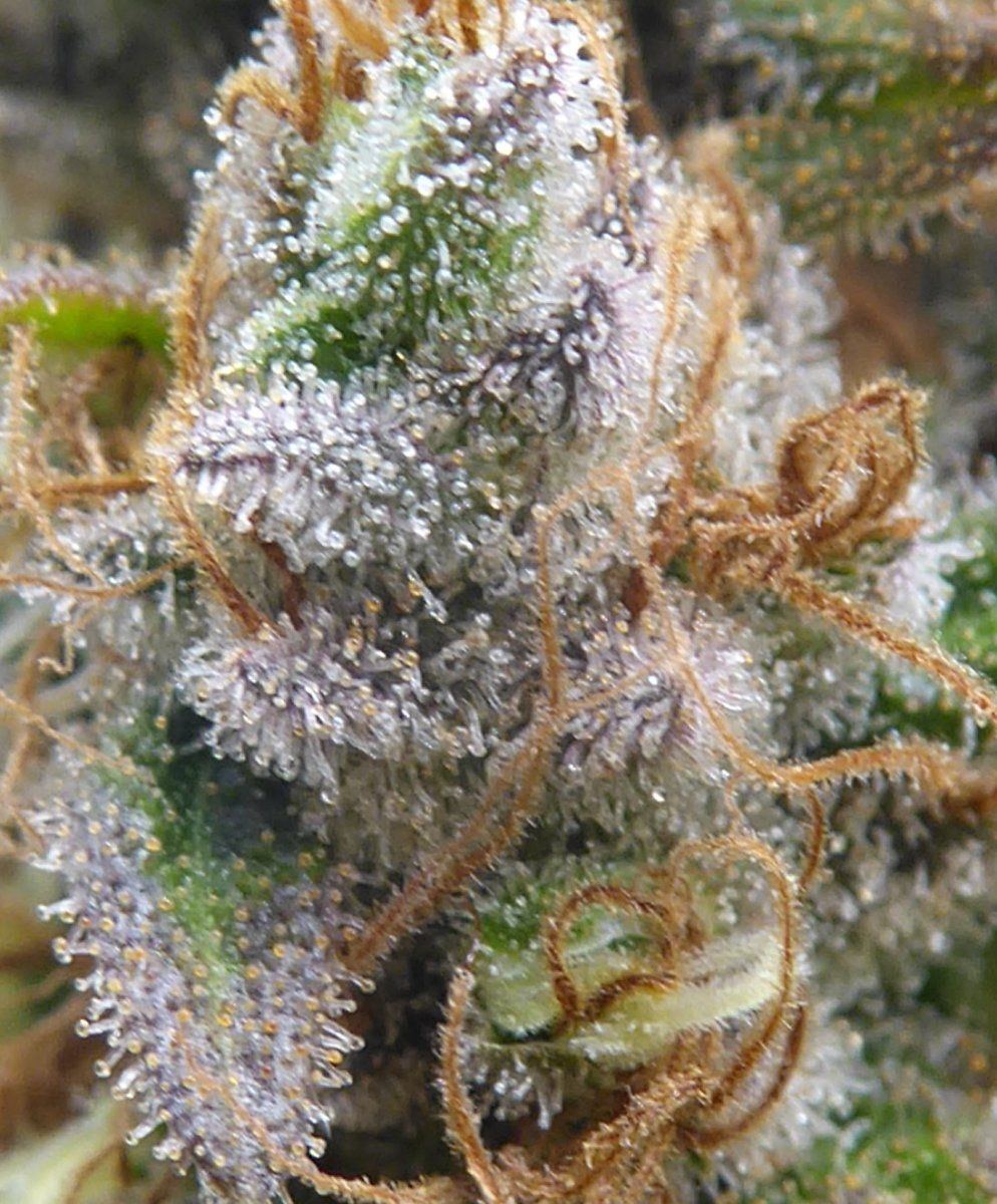 P1050818
