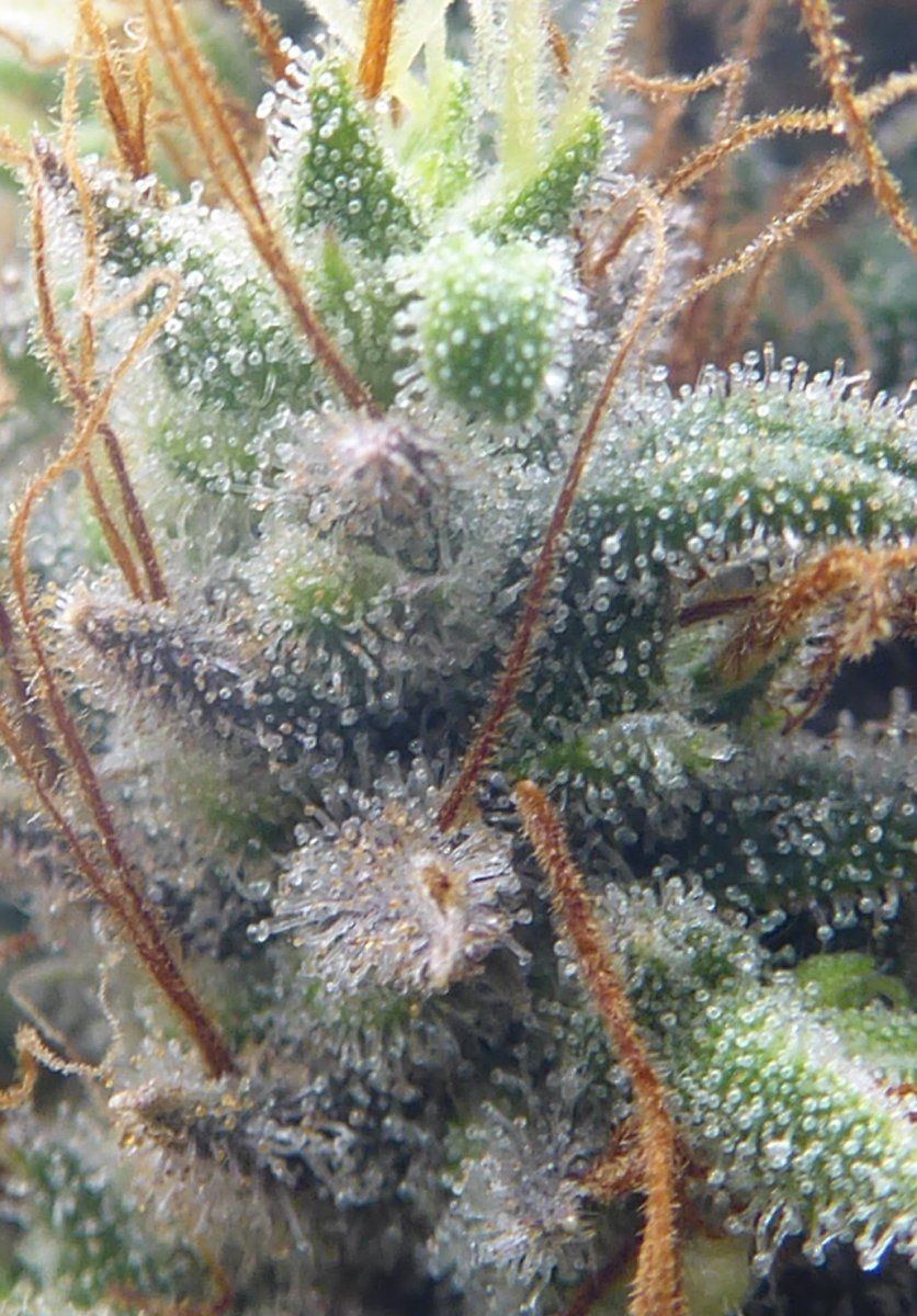 P1050819