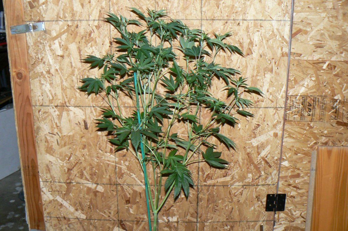 P1050912