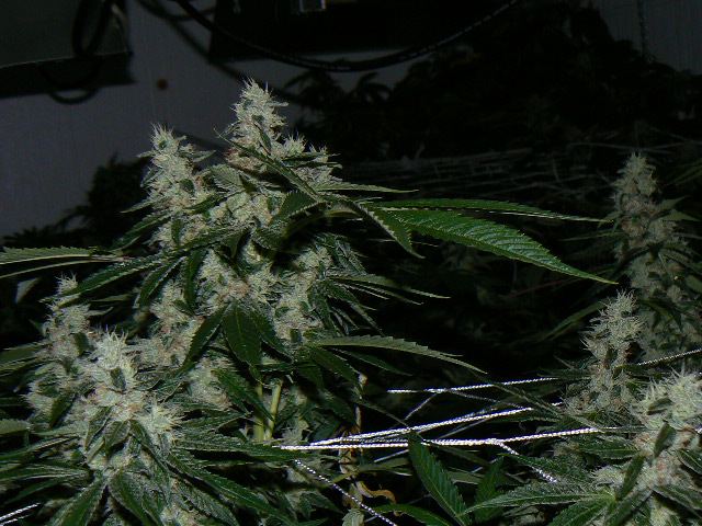 P1050995